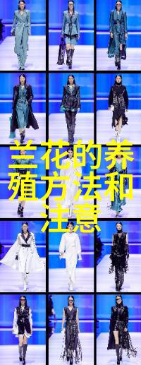 光棍节送花给心仪的女生拒绝怎么办