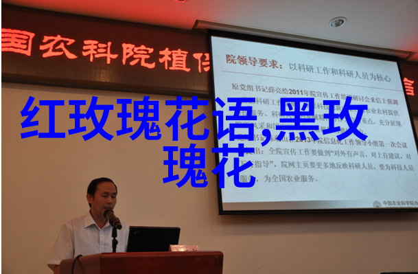 2017光棍节如何文艺地说我爱你