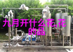 双十一向喜欢的女孩子表白失败怎么办