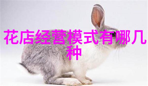 花店经营花店有哪些分类如何经营