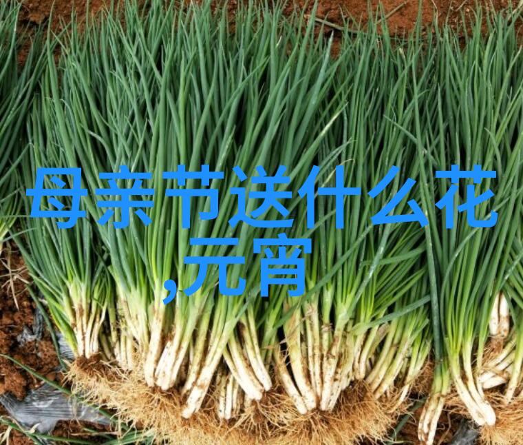 1111光棍节你还单身那是因为你不送花
